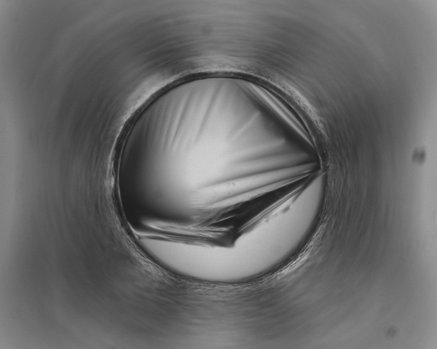 X0000094070885200711161545