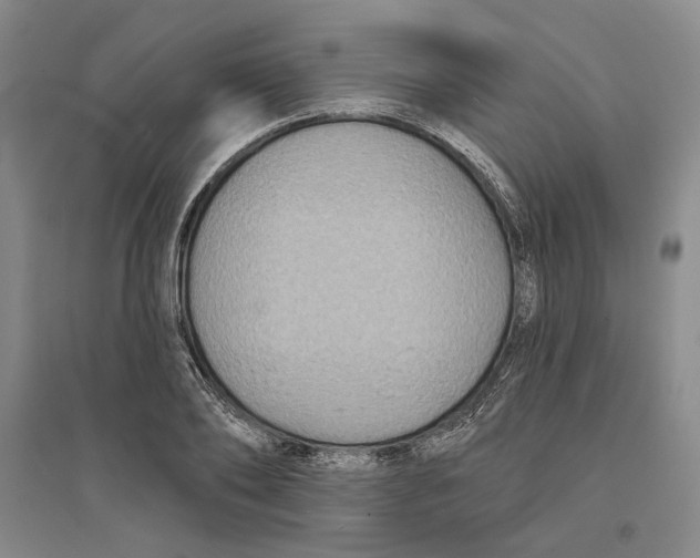X0000094070886200711161545