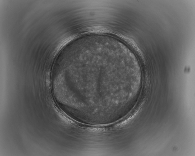 X0000094070889200711161545