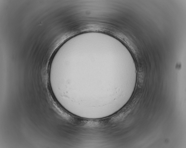 X0000094070890200711161545