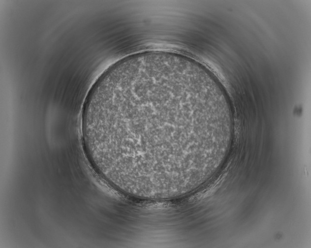 X0000094070891200711161545