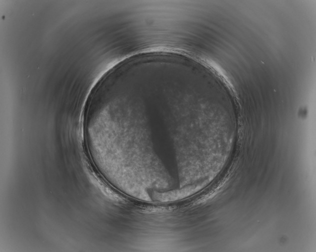 X0000094070892200711161545