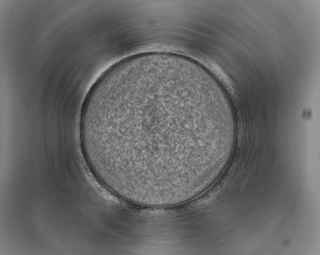 X0000094070896200711161544