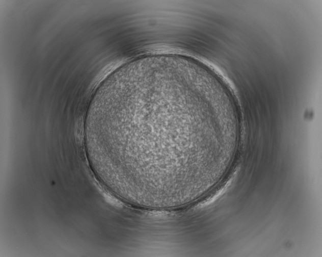 X0000094070897200711161544