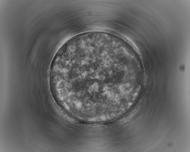 X0000094070899200711161544