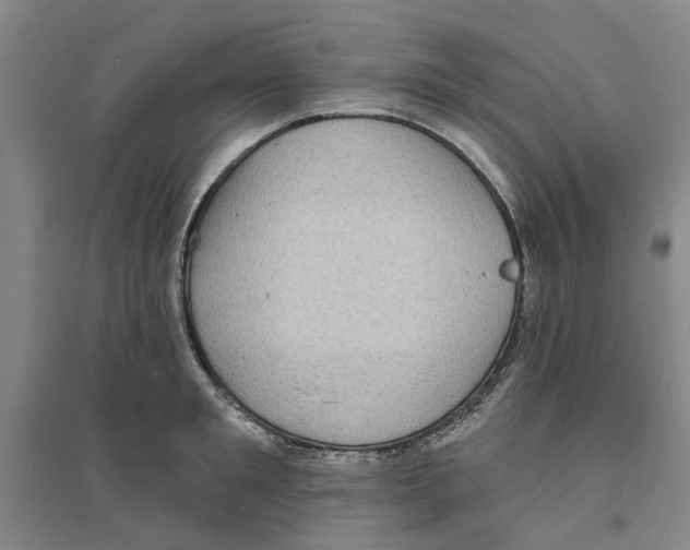 X0000094070901200711161544