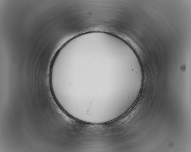 X0000094070902200711161544