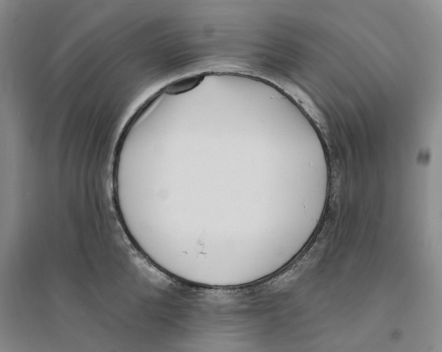 X0000094070904200711161544