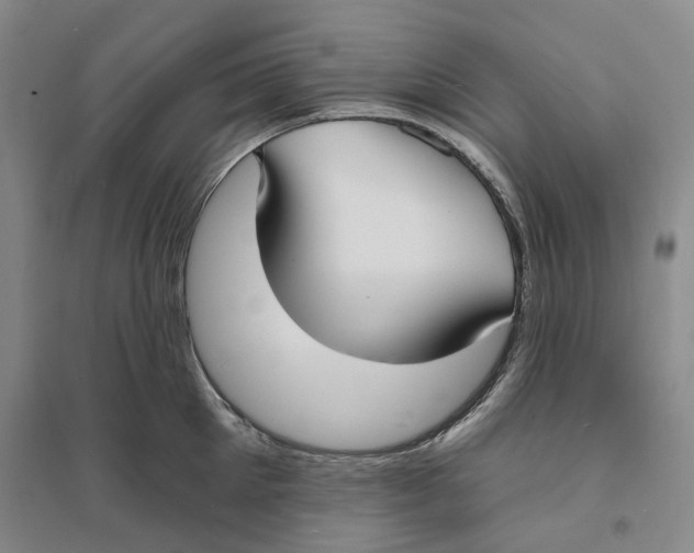 X0000094070905200711161544