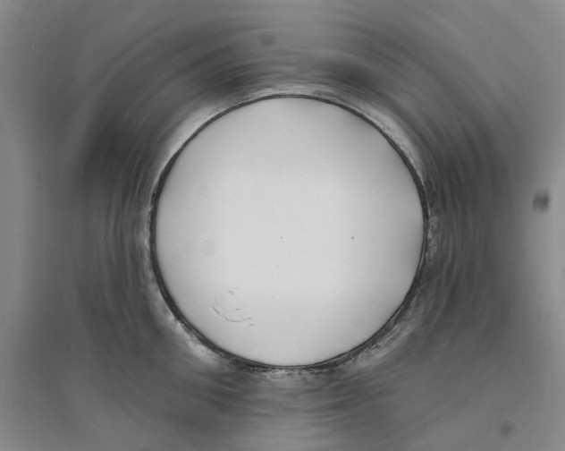 X0000094070906200711161544