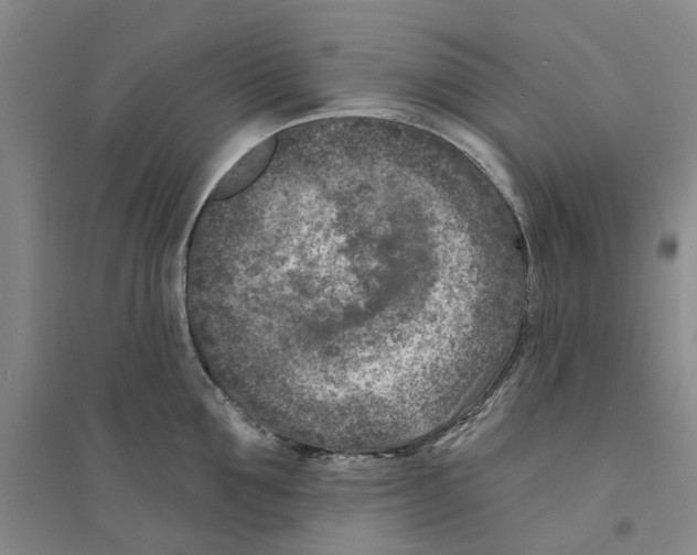 X0000094070907200711161544