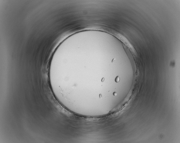 X0000094070908200711161544