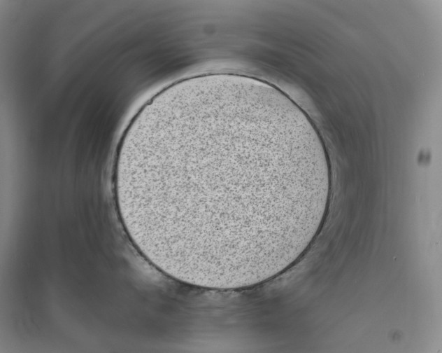 X0000094070912200711161544