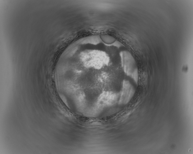 X0000094070913200711161544
