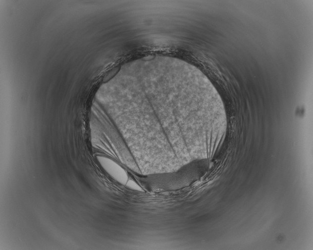X0000094070916200711161544