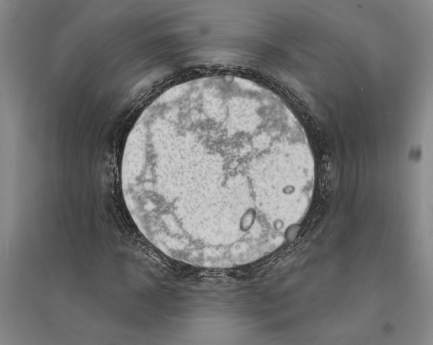 X0000094070918200711161544