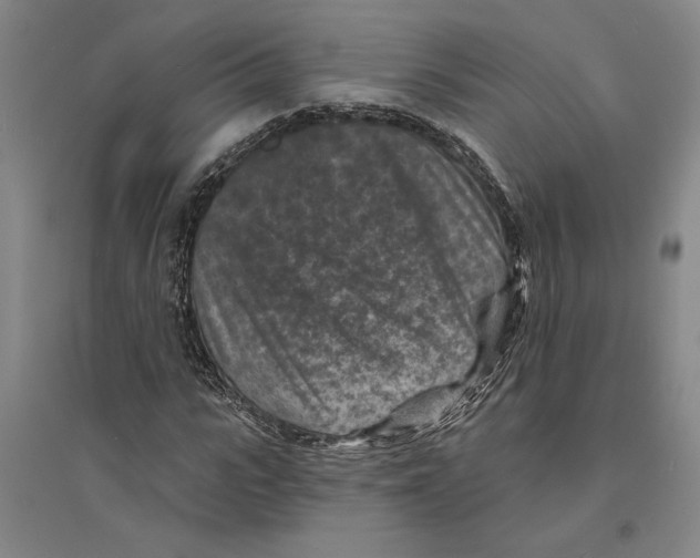 X0000094070919200711161544