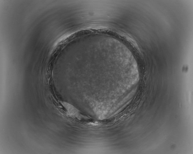 X0000094070920200711161544