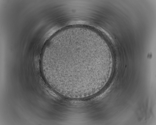 X0000094070921200711161544