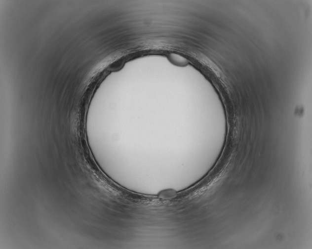 X0000094070922200711161544