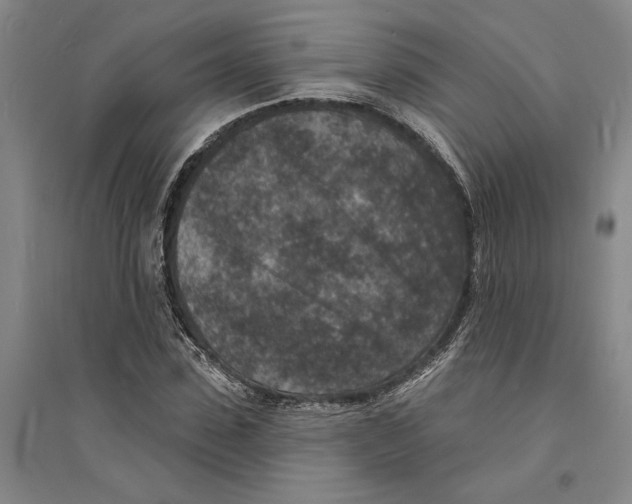X0000094070923200711161544