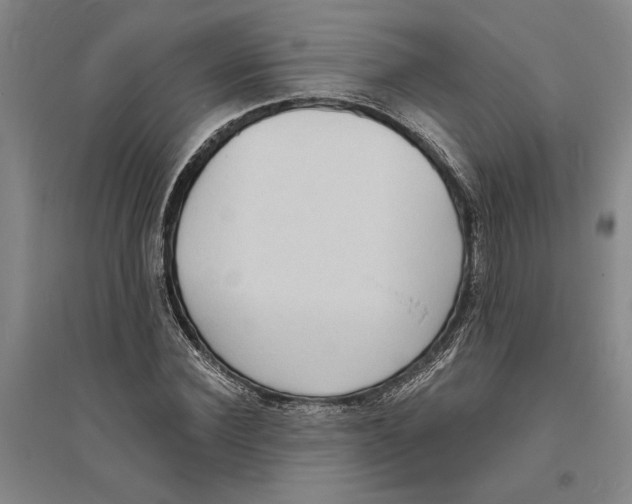 X0000094070924200711161544