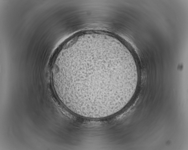 X0000094070925200711161544