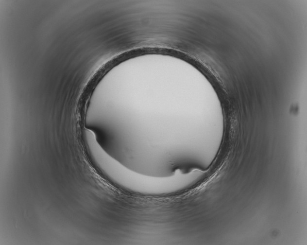 X0000094070926200711161544