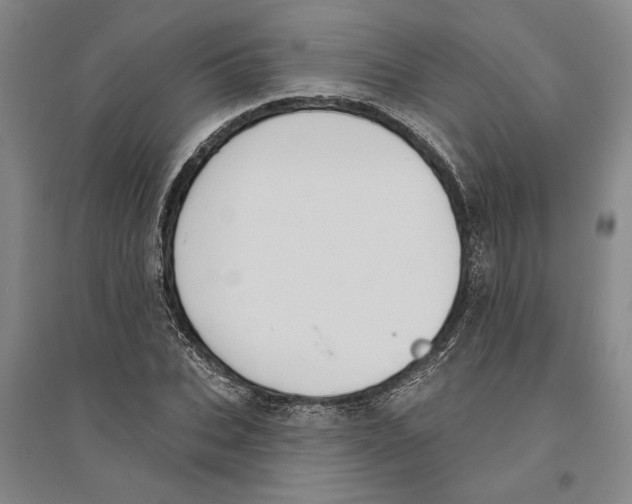 X0000094070927200711161544