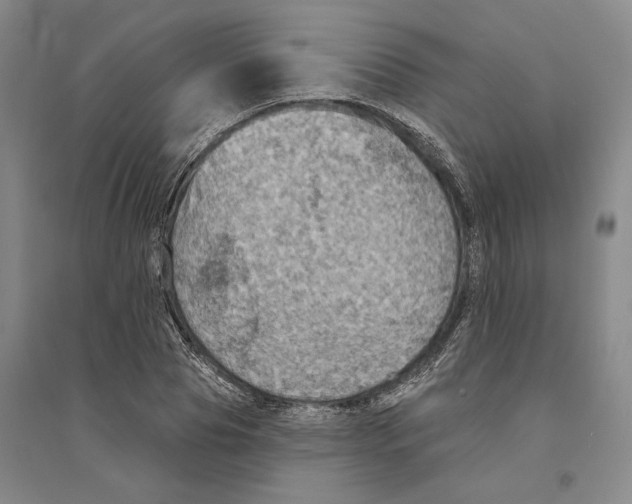 X0000094070929200711161544