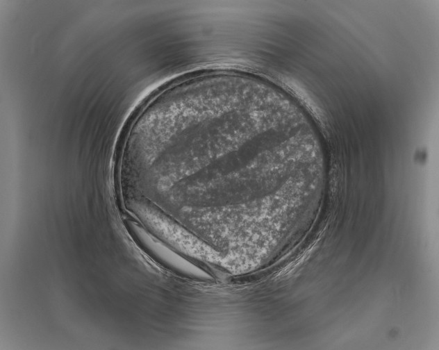 X0000094070932200711161544