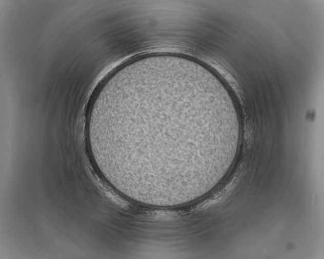 X0000094070933200711161544