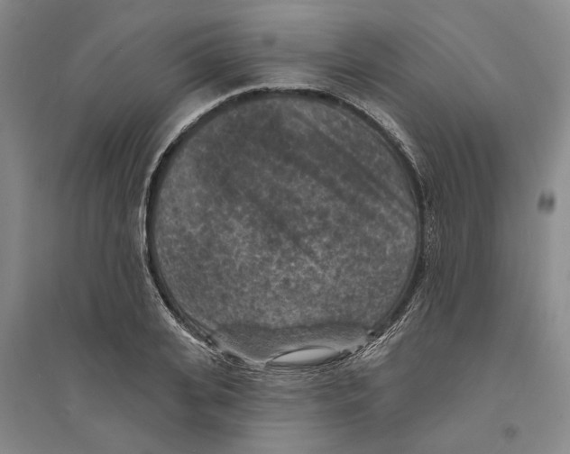 X0000094070935200711161544