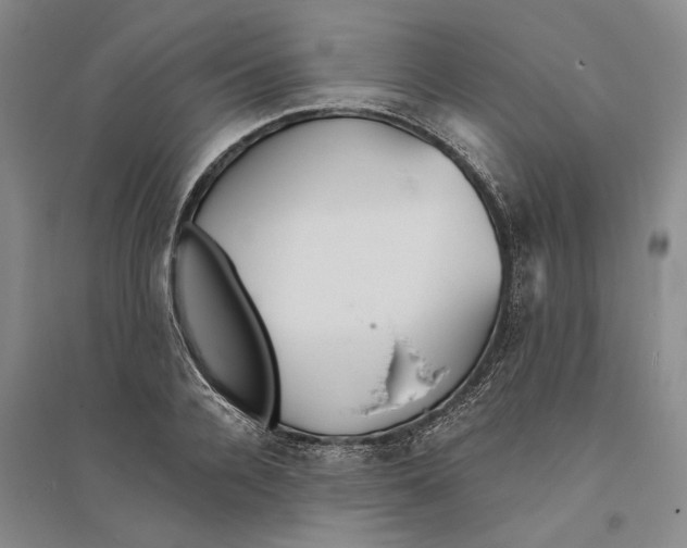 X0000094070936200711161544