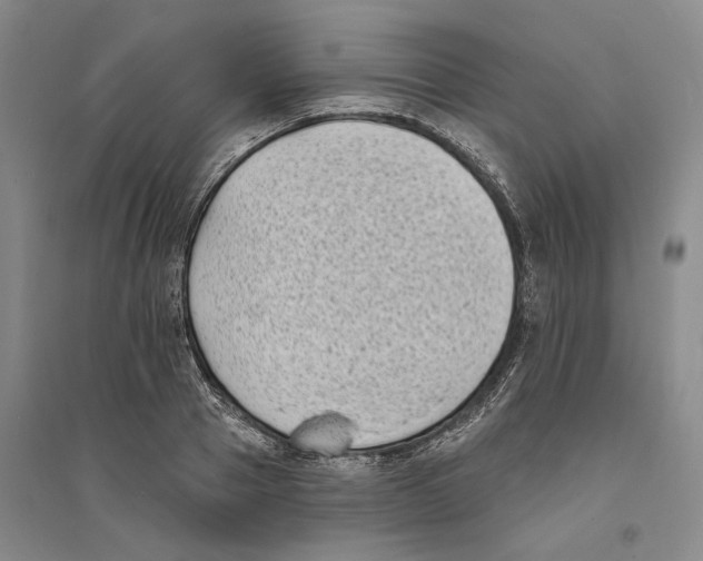 X0000094070937200711161544