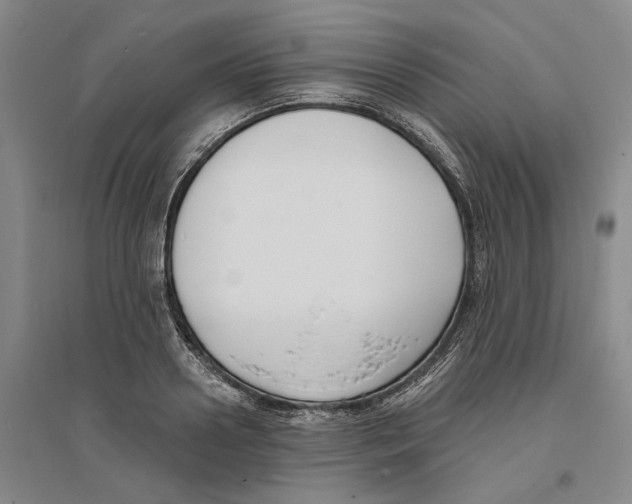 X0000094070938200711161544