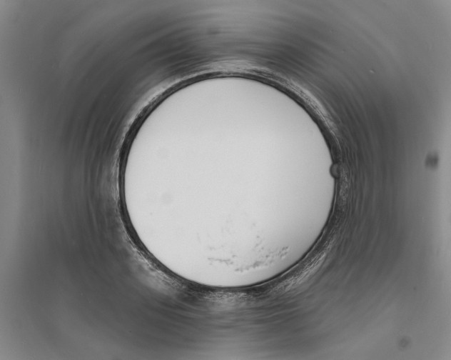 X0000094070939200711161544