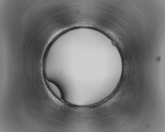X0000094070942200711161544