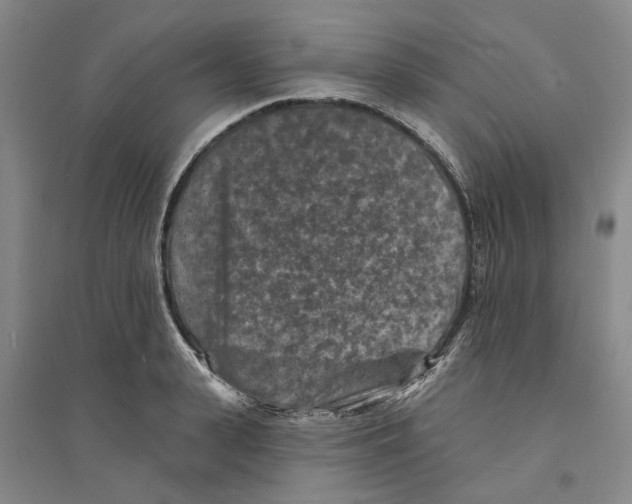 X0000094070943200711161544