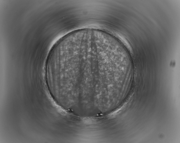 X0000094070944200711161544
