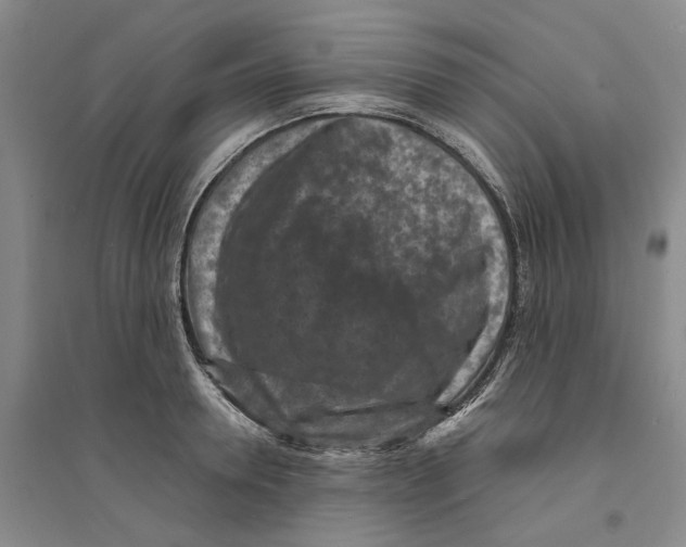 X0000094070946200711161544