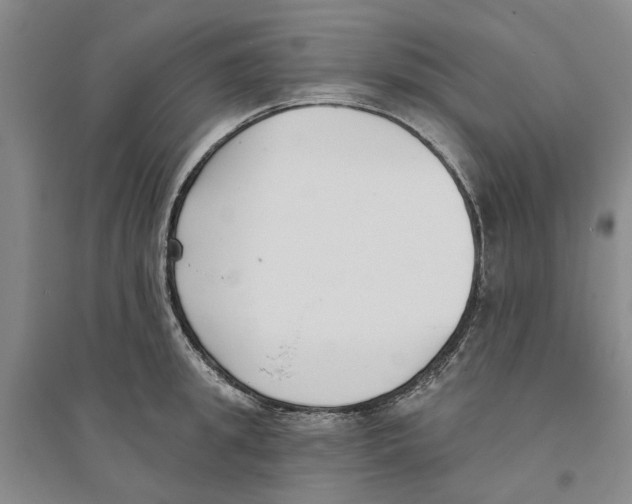 X0000094070949200711161544