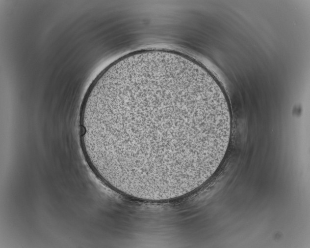 X0000094070951200711161544