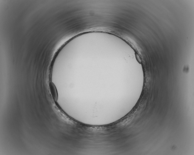 X0000094070952200711161544