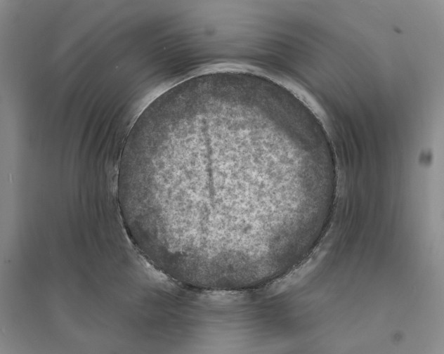X0000094070953200711161544