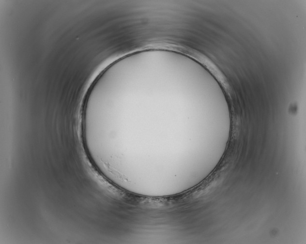 X0000094070955200711161544