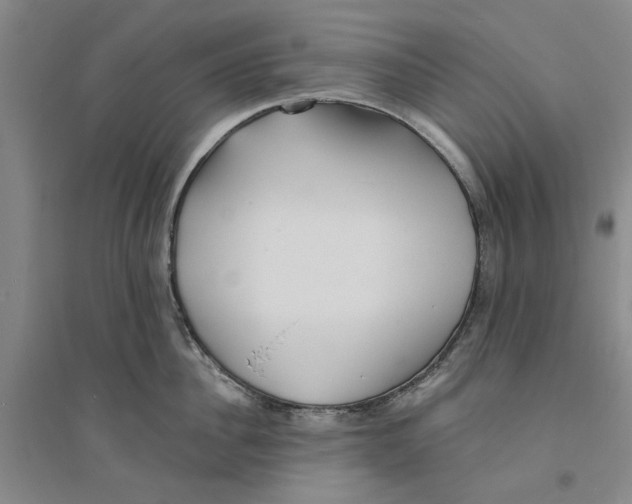 X0000094070956200711161544