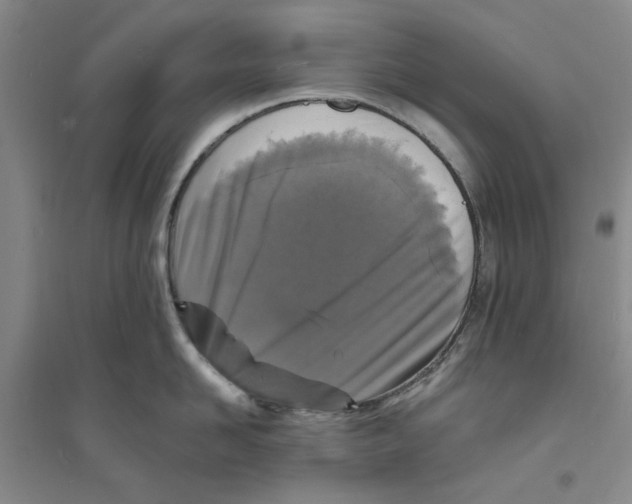 X0000094070958200711161544