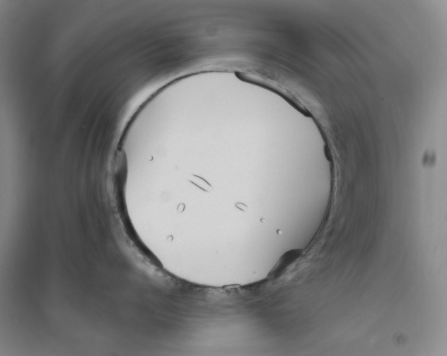 X0000094070960200711161544