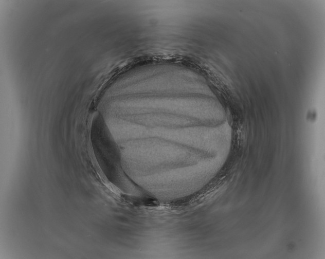 X0000094070961200711161543